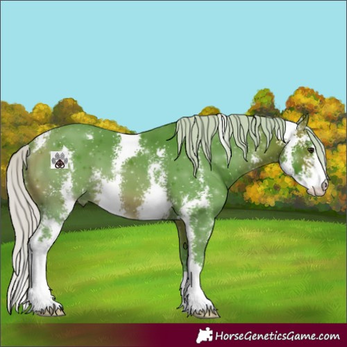 Horse Color:Watercolor Silver Brown Sabino 