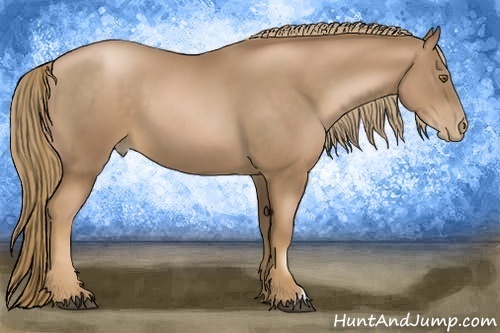 Horse Color:Liver Chestnut Pearl 