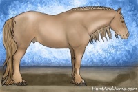 Horse Color:Liver Chestnut Pearl