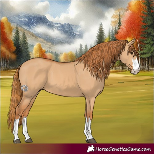 Horse Color:Red Dun 
