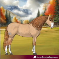Horse Color:Red Dun 