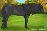 Horse Color:Smoky Black 