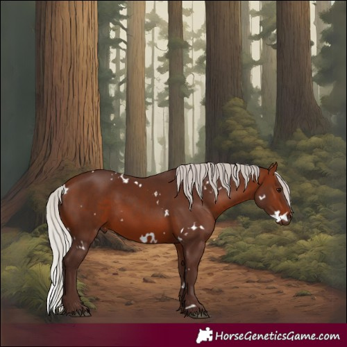 Horse Color:White Spotted Silver Brown 