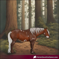Horse Color:White Spotted Silver Brown