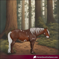 Horse Color:White Spotted Silver Brown 