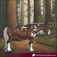 Horse Color:White Spotted Silver Brown