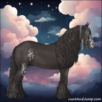 Horse Color:White Spotted Smoky Black Rabicano 