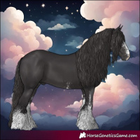 Horse Color:White Spotted Smoky Black Rabicano