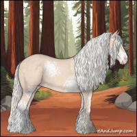 Horse Color:White Spotted Cremello Sabino Rabicano