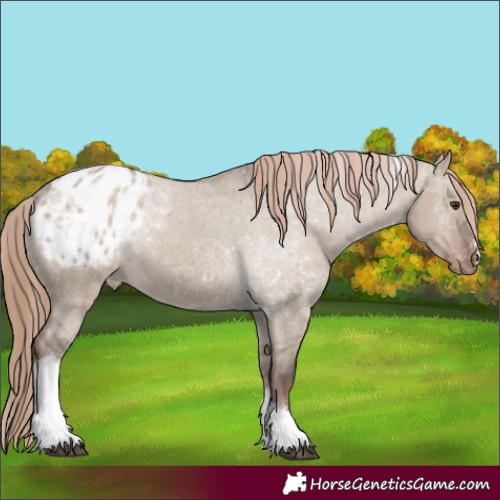 Horse Color:Liver Red Dun Tobiano Varnish 