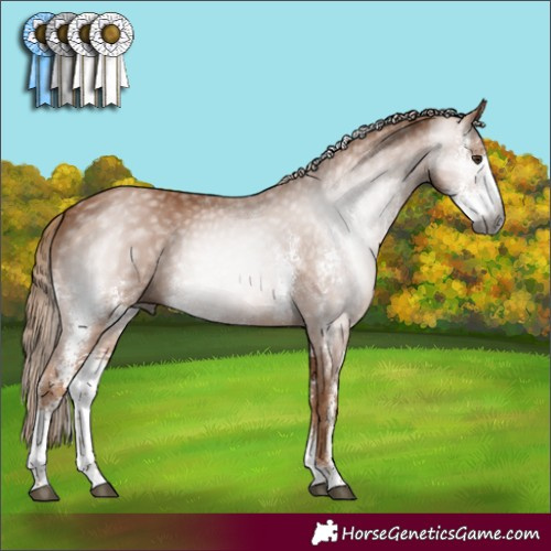 Horse Color:Gray Chestnut Sabino Rabicano