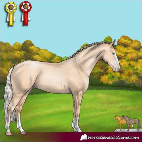 Horse Color:Silver Amber Champagne Pearl