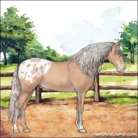 Horse Color:Silver Amber Champagne Varnish 