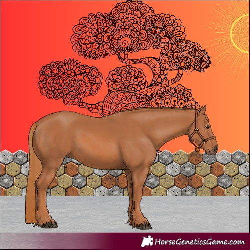 Horse Color:Chestnut 