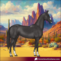 Horse Color:Smoky Black 