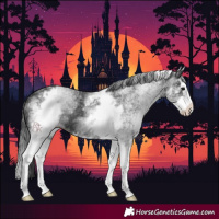 Horse Color:White Spotted Black Splash 