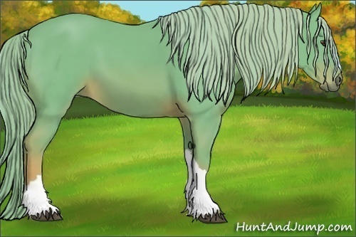 Horse Color:Watercolor Chestnut 