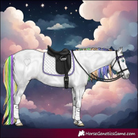 Horse Color:Gray Painted Classic Champagne Splash Tobiano Appaloosa 