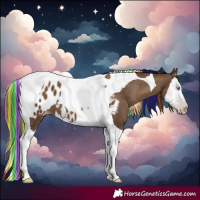Horse Color:Gray Painted Classic Champagne Splash Tobiano Near Leopard 