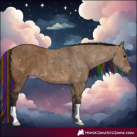 Horse Color:Gray Painted Bay Dun