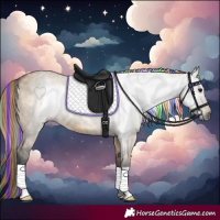 Horse Color:Gray Painted Bay Dun