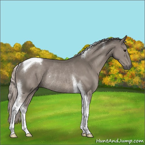 Horse Color:Silver Grullo Tobiano Rabicano
