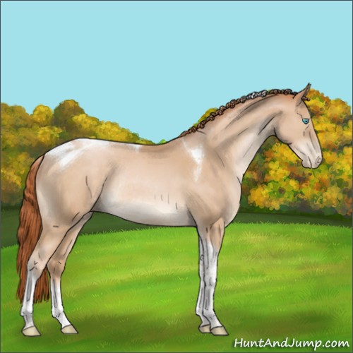 Horse Color:Buckskin Pearl Tobiano Rabicano 