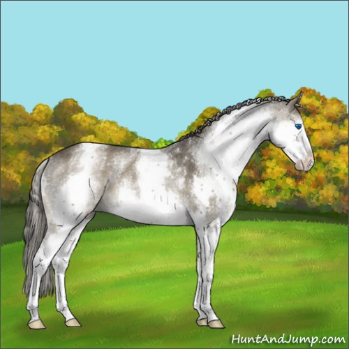 Horse Color:White Spotted Smoky Black Splash Tobiano Rabicano