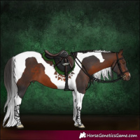Horse Color:Brown Tobiano 