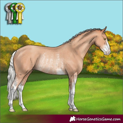 Horse Color:Silver Amber Champagne Sabino Rabicano 