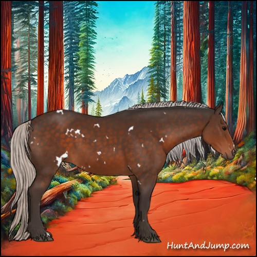 Horse Color:White Spotted Silver Brown