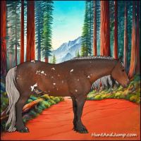 Horse Color:White Spotted Silver Brown