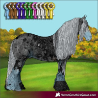 Horse Color:ERROR: UNKNOWN ANOMALY