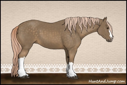 Horse Color:Chocolate Palomino 