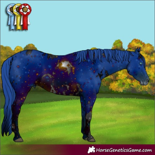 Horse Color:ERROR: UNKNOWN ANOMALY
