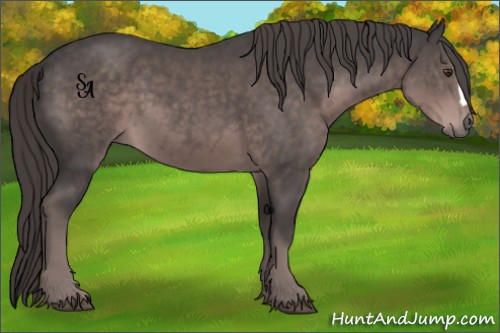 Horse Color:Platinum Liver Chestnut 