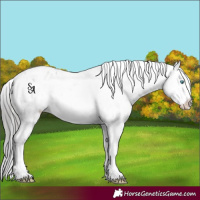 Horse Color:Platinum Buckskin Pearl Varnish 