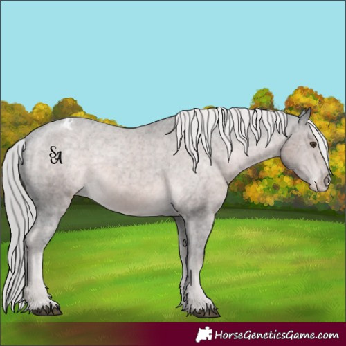 Horse Color:Platinum Chocolate Palomino Appaloosa 