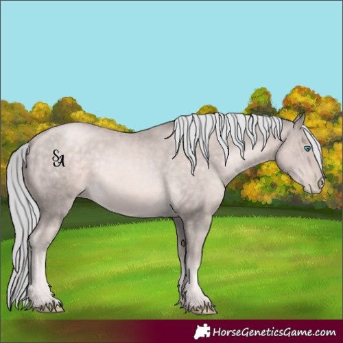 Horse Color:Platinum Chocolate Palomino Pearl Rabicano 