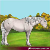 Horse Color:Platinum Chocolate Palomino Pearl Rabicano 