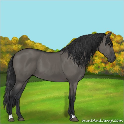 Horse Color:Grullo