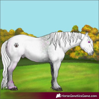 Horse Color:ERROR: UNKNOWN ANOMALY