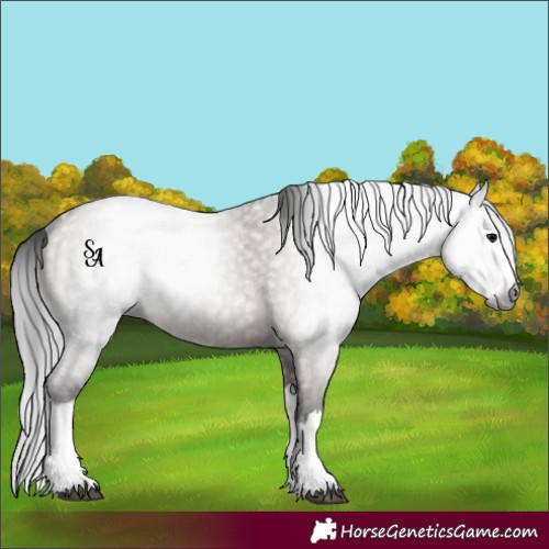 Horse Color:Gray Grullo Roan Splash 