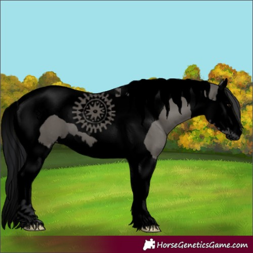 Horse Color:Void Grullo Splash Tobiano 