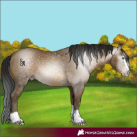 Horse Color:Gray Sable Cream Champagne 