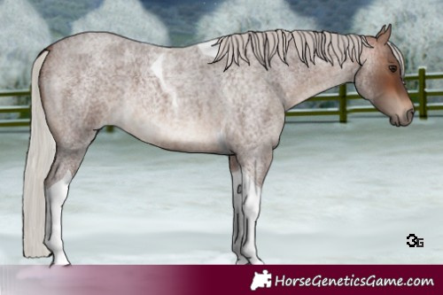 Horse Color:Silver Brown Roan Tobiano 
