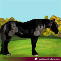 Horse Color:Void Smoky Grullo Splash Tobiano 