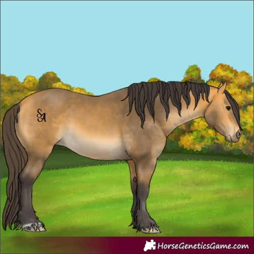 Horse Color:Buckskin 