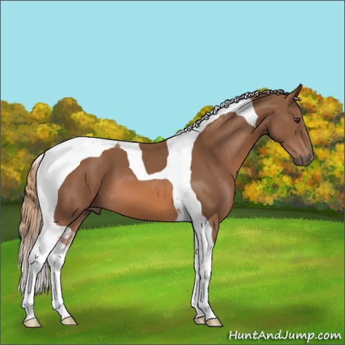 Horse Color:Chestnut Tobiano 