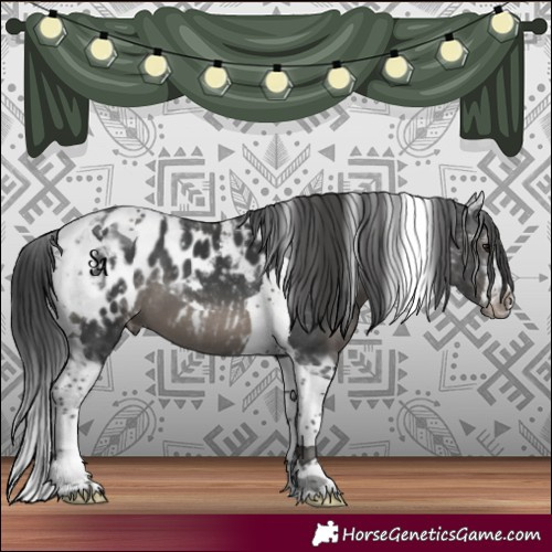 Horse Color:Black Tobiano Blanket 